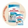Pack'Avenue Royal Canin DOG MINI PUPPY 8KG