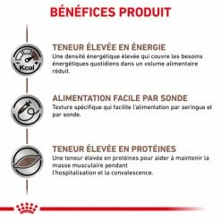 ROYAL CANIN Dog/Cat Recovery Boîte 7 ROYAL CANIN Dog/Cat Recovery Boîte -Pet Soin royal canin cat dog recovery boite 1