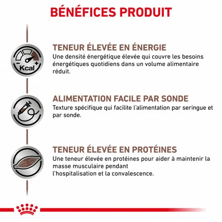 ROYAL CANIN Dog/Cat Recovery Boîte 2 ROYAL CANIN Dog/Cat Recovery Boîte – Image 2