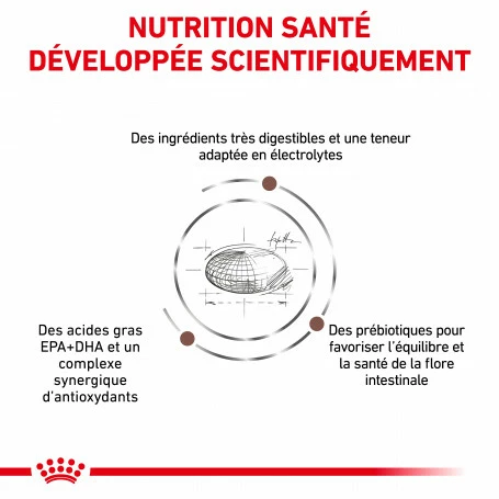 ROYAL CANIN Dog Gastro Intestinal 3 ROYAL CANIN Dog Gastro Intestinal – Image 3