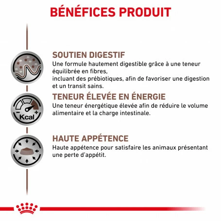 ROYAL CANIN Dog Gastro Intestinal Boîte 2 ROYAL CANIN Dog Gastro Intestinal Boîte – Image 2