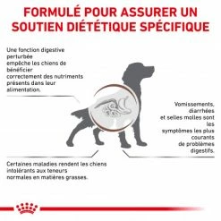 ROYAL CANIN Dog Gastro Intestinal Low Fat -Pet Soin royal canin dog gastro intestinal low fat 1