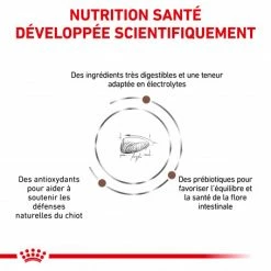 ROYAL CANIN Dog Gastro Intestinal Puppy -Pet Soin royal canin dog gastro intestinal puppy 2