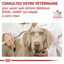 ROYAL CANIN Dog Hepatic -Pet Soin royal canin dog hepatic 7