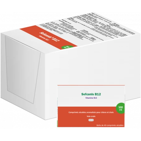 OSALIA Sofcanis B12 2 OSALIA Sofcanis B12 – Image 2