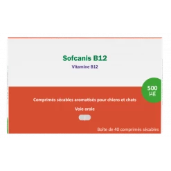 OSALIA Sofcanis B12
