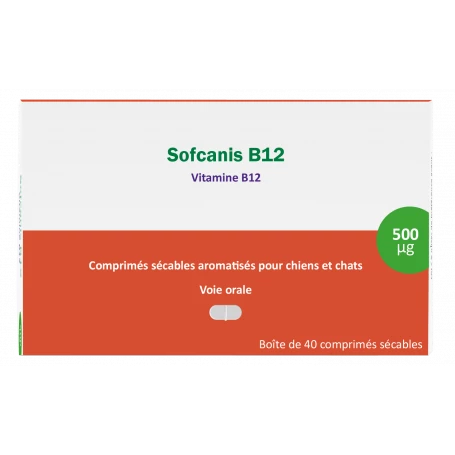 OSALIA Sofcanis B12 1 OSALIA Sofcanis B12