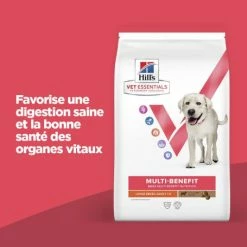 HILL'S Pet Nutrition Vet Essentials Chien Multi-Benefit Adult + Large Breed Agneau & Riz 10 HILL'S Pet Nutrition Vet Essentials Chien Multi-Benefit Adult + Large Breed Agneau & Riz -Pet Soin vet essentials chien multi benefit adult 1 l breed agnri 1
