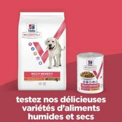 HILL'S Pet Nutrition Vet Essentials Chien Multi-Benefit Adult + Large Breed Agneau & Riz 11 HILL'S Pet Nutrition Vet Essentials Chien Multi-Benefit Adult + Large Breed Agneau & Riz -Pet Soin vet essentials chien multi benefit adult 1 l breed agnri 2
