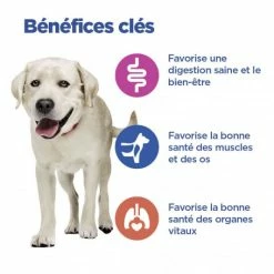 HILL'S Pet Nutrition Vet Essentials Chien Multi-Benefit Adult + Large Breed Agneau & Riz 12 HILL'S Pet Nutrition Vet Essentials Chien Multi-Benefit Adult + Large Breed Agneau & Riz -Pet Soin vet essentials chien multi benefit adult 1 l breed agnri 3