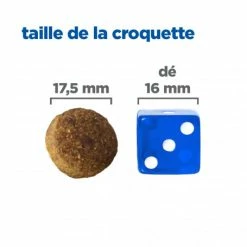 HILL'S Pet Nutrition Vet Essentials Chien Multi-Benefit Adult + Large Breed Agneau & Riz 13 HILL'S Pet Nutrition Vet Essentials Chien Multi-Benefit Adult + Large Breed Agneau & Riz -Pet Soin vet essentials chien multi benefit adult 1 l breed agnri 4