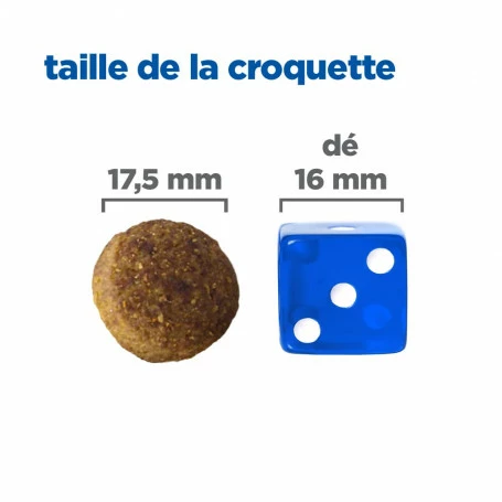 HILL'S Pet Nutrition Vet Essentials Chien Multi-Benefit Adult + Large Breed Agneau & Riz 6 HILL'S Pet Nutrition Vet Essentials Chien Multi-Benefit Adult + Large Breed Agneau & Riz – Image 6