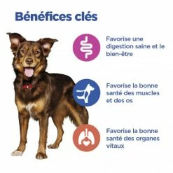HILL'S Pet Nutrition Vet Essentials Chien Multi-Benefit Adult + Medium Agneau & Riz -Pet Soin vet essentials chien multi benefit adult 1 medium agnriz 3