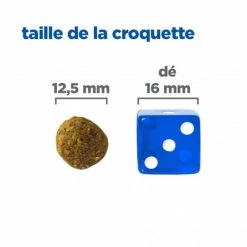 HILL'S Pet Nutrition Vet Essentials Chien Multi-Benefit Adult + Medium Agneau & Riz -Pet Soin vet essentials chien multi benefit adult 1 medium agnriz 4