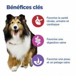 HILL'S Pet Nutrition Vet Essentials Chien Multi-Benefit Adult + Medium Non Grain Thon 8 HILL'S Pet Nutrition Vet Essentials Chien Multi-Benefit Adult + Medium Non Grain Thon -Pet Soin vet essentials chien multi benefit adult 1 medium non grain thon 2