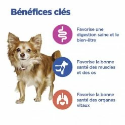 HILL'S Pet Nutrition Vet Essentials Chien Multi-Benefit Adult + Small & Mini Agneau & Riz -Pet Soin vet essentials chien multi benefit adult 1 smallmini ar 2