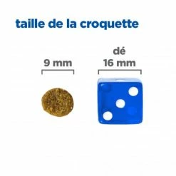 HILL'S Pet Nutrition Vet Essentials Chien Multi-Benefit Adult + Small & Mini Agneau & Riz -Pet Soin vet essentials chien multi benefit adult 1 smallmini ar 4