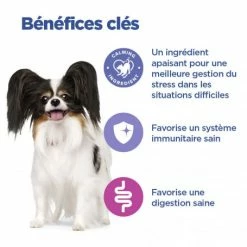 HILL'S Pet Nutrition Vet Essentials Chien Multi-Benefit + Calm Adult 1+ Small & Mini -Pet Soin vet essentials chien multi benefit calm adult 1 smm po 3