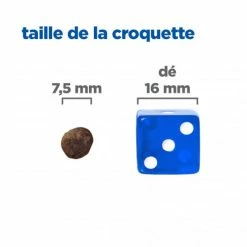 HILL'S Pet Nutrition Vet Essentials Chien Multi-Benefit + Calm Adult 1+ Small & Mini -Pet Soin vet essentials chien multi benefit calm adult 1 smm po 4