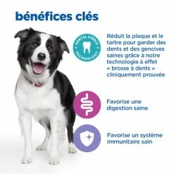 HILL'S Pet Nutrition Vet Essentials Chien Multi-Benefit + Dental Adulte + Medium & Large Poulet -Pet Soin vet essentials chien multi benefit dental ad 1 medla po 4