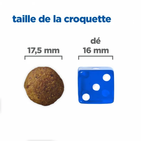 HILL'S Pet Nutrition Vet Essentials Chien Multi-Benefit + Digestion Adulte+ Large Breed 4 HILL'S Pet Nutrition Vet Essentials Chien Multi-Benefit + Digestion Adulte+ Large Breed – Image 4