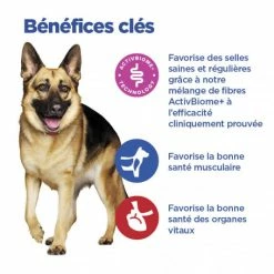 HILL'S Pet Nutrition Vet Essentials Chien Multi-Benefit + Digestion Adulte+ Large Breed 13 HILL'S Pet Nutrition Vet Essentials Chien Multi-Benefit + Digestion Adulte+ Large Breed -Pet Soin vet essentials chien multi benefit digestion ad1 lar br sac de 14 kg 5