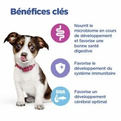 HILL'S Pet Nutrition Vet Essentials Chien Multi-Benefit Puppy Medium Poulet 10 HILL'S Pet Nutrition Vet Essentials Chien Multi-Benefit Puppy Medium Poulet -Pet Soin vet essentials chien multi benefit puppy medium poulet 2