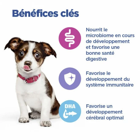 HILL'S Pet Nutrition Vet Essentials Chien Multi-Benefit Puppy Medium Poulet 4 HILL'S Pet Nutrition Vet Essentials Chien Multi-Benefit Puppy Medium Poulet – Image 4
