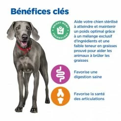 HILL'S Pet Nutrition Vet Essentials Chien Multi-Benefit + Weight Adult + Large Breed Poulet -Pet Soin vet essentials chien multi benefit wei adult 1 larb po 3