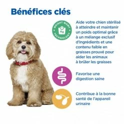 HILL'S Pet Nutrition Vet Essentials Chien Multi-Benefit + Weight Adult 1+ Small & Mini Poulet 12 HILL'S Pet Nutrition Vet Essentials Chien Multi-Benefit + Weight Adult 1+ Small & Mini Poulet -Pet Soin vet essentials chien multi benefit wei adult 1 smm po 3