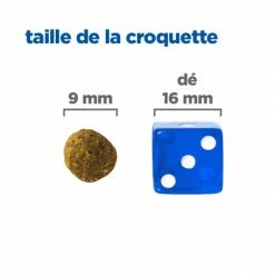 HILL'S Pet Nutrition Vet Essentials Chien Multi-Benefit + Weight Adult 1+ Small & Mini Poulet 13 HILL'S Pet Nutrition Vet Essentials Chien Multi-Benefit + Weight Adult 1+ Small & Mini Poulet -Pet Soin vet essentials chien multi benefit wei adult 1 smm po 4