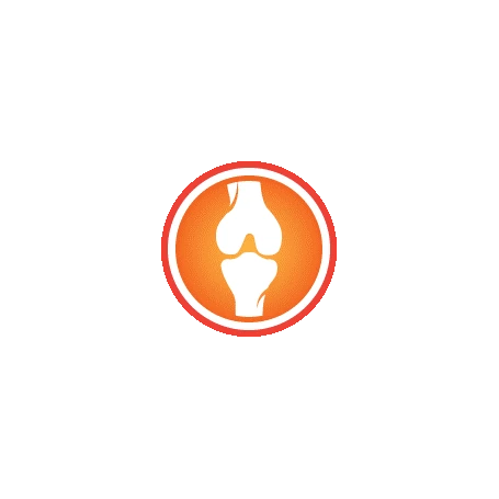 HILL'S Pet Nutrition Vet Essentials Chien Multi-Benefit Weight Adulte + Poulet Boîte 3 HILL'S Pet Nutrition Vet Essentials Chien Multi-Benefit Weight Adulte + Poulet Boîte – Image 3