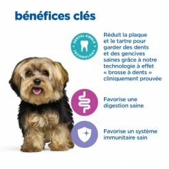 HILL'S Pet Nutrition Vet Essentials Chien Multi-Benefit+Dental Adult 1+ Small & Mini -Pet Soin vet essentials chien multi benefitdental adult 1 sm mp 4