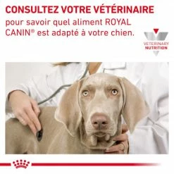 ROYAL CANIN Veterinary Health Nutrition Dog Cardiac -Pet Soin veterinary diet dog cardiac 7