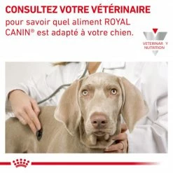 ROYAL CANIN Veterinary Health Nutrition Dog Cardiac Boîte -Pet Soin veterinary diet dog cardiac boite 5