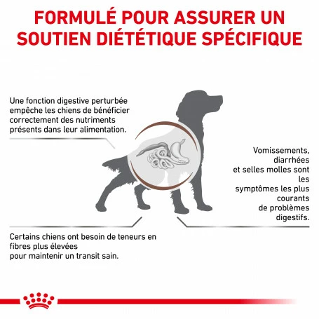 ROYAL CANIN Dog Gastro Intestinal High Fibre 2 ROYAL CANIN Dog Gastro Intestinal High Fibre – Image 2