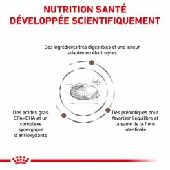ROYAL CANIN Dog Gastro Intestinal High Fibre 10 ROYAL CANIN Dog Gastro Intestinal High Fibre -Pet Soin veterinary diet dog fibre response 2