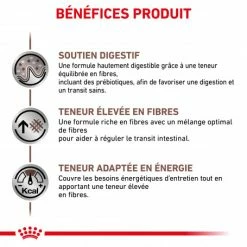 ROYAL CANIN Dog Gastro Intestinal High Fibre 11 ROYAL CANIN Dog Gastro Intestinal High Fibre -Pet Soin veterinary diet dog fibre response 3