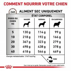 ROYAL CANIN Dog Gastro Intestinal High Fibre 12 ROYAL CANIN Dog Gastro Intestinal High Fibre -Pet Soin veterinary diet dog fibre response 4