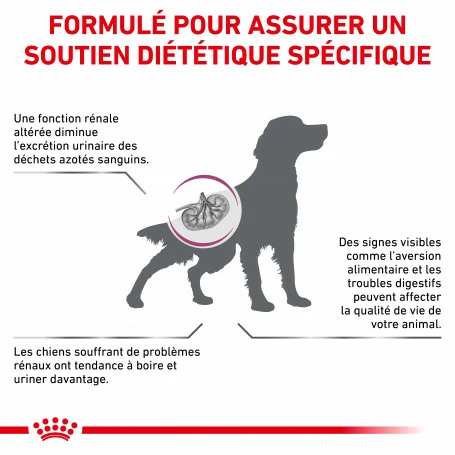 ROYAL CANIN Veterinary Health Nutrition Dog Renal Special 2 ROYAL CANIN Veterinary Health Nutrition Dog Renal Special – Image 2