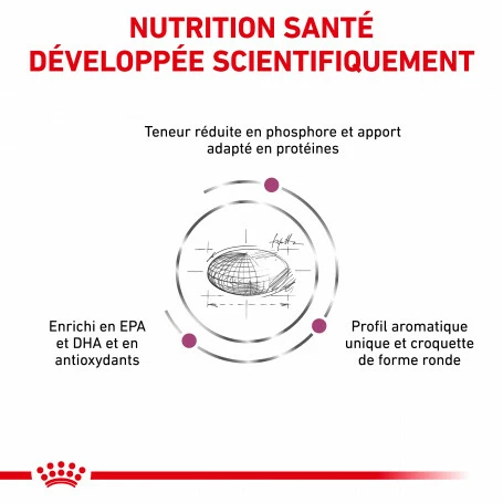 ROYAL CANIN Veterinary Health Nutrition Dog Renal Special 3 ROYAL CANIN Veterinary Health Nutrition Dog Renal Special – Image 3