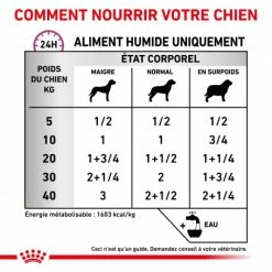 ROYAL CANIN Veterinary Health Nutrition Dog Renal Special Boîte -Pet Soin veterinary diet dog renal special boite 3