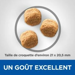 HILL'S Pet Nutrition Vet Essentials Canine Adult Dental Health Large Breed Poulet 9 HILL'S Pet Nutrition Vet Essentials Canine Adult Dental Health Large Breed Poulet -Pet Soin vetessentials canine adult large breed 2