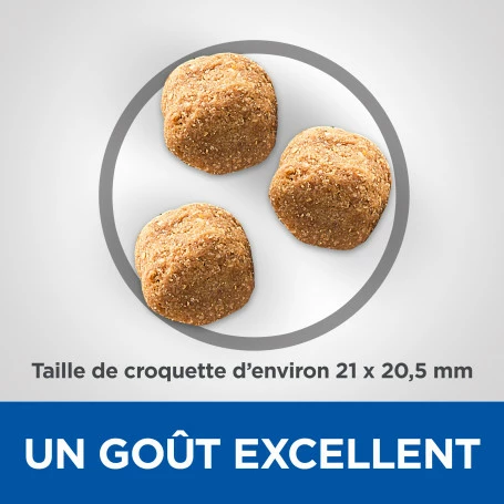 HILL'S Pet Nutrition Vet Essentials Canine Adult Dental Health Large Breed Poulet 4 HILL'S Pet Nutrition Vet Essentials Canine Adult Dental Health Large Breed Poulet – Image 4