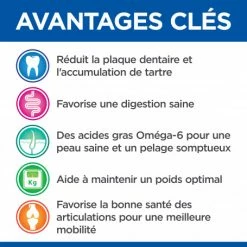 HILL'S Pet Nutrition Vet Essentials Canine Adult Dental Health Large Breed Poulet 10 HILL'S Pet Nutrition Vet Essentials Canine Adult Dental Health Large Breed Poulet -Pet Soin vetessentials canine adult large breed 3