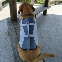 Unbranded Animal Chien Gilet De Sauvetage Gilet De Sauvetage Grand Chien Collier Harnais Saver Pet Dog Swimming Preserver 6 Unbranded Animal Chien Gilet De Sauvetage Gilet De Sauvetage Grand Chien Collier Harnais Saver Pet Dog Swimming Preserver -Pet Soin 172067039 max