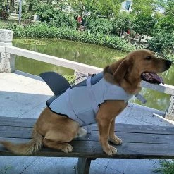 Unbranded Animal Chien Gilet De Sauvetage Gilet De Sauvetage Grand Chien Collier Harnais Saver Pet Dog Swimming Preserver 7 Unbranded Animal Chien Gilet De Sauvetage Gilet De Sauvetage Grand Chien Collier Harnais Saver Pet Dog Swimming Preserver -Pet Soin 172067115 max
