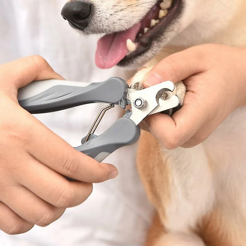 Unbranded Pet Dog Cat Clean Tools Grooming Clippers Professional Sharp Stainless Stee (Gris) 2 Unbranded Pet Dog Cat Clean Tools Grooming Clippers Professional Sharp Stainless Stee (Gris) – Image 2