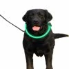 Bxasdf Light Up Dog Collar Rechargeable Pour L’obscurité, La Marche Nocturne