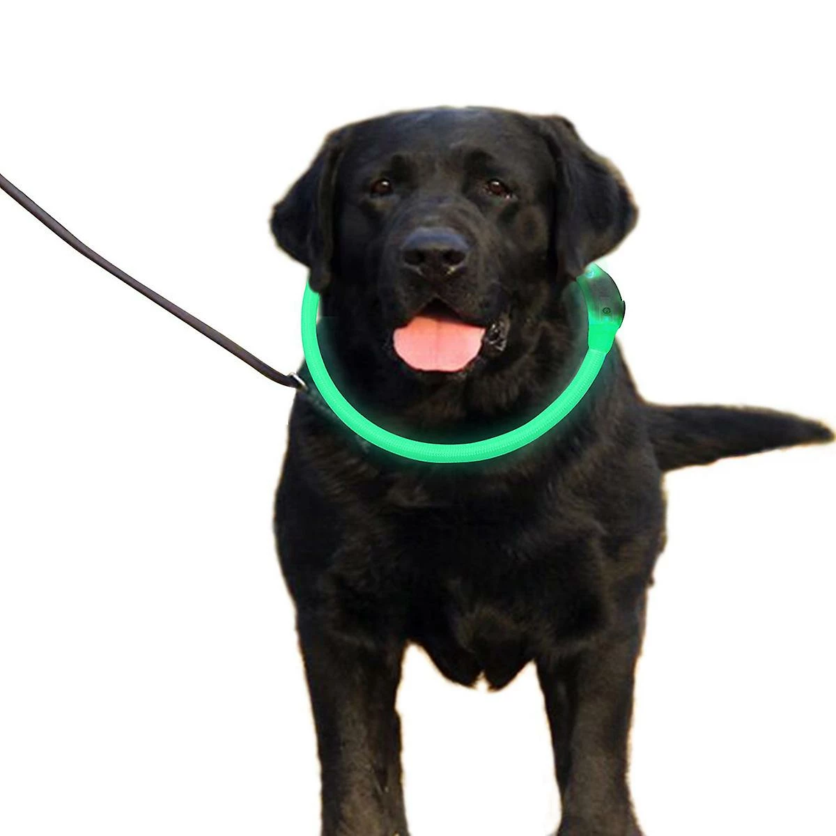 Bxasdf Light Up Dog Collar Rechargeable Pour L’obscurité, La Marche Nocturne 1 Bxasdf Light Up Dog Collar Rechargeable Pour L’obscurité, La Marche Nocturne